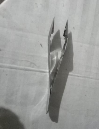 Stainless Steel Pineapple Eye Remover Clip