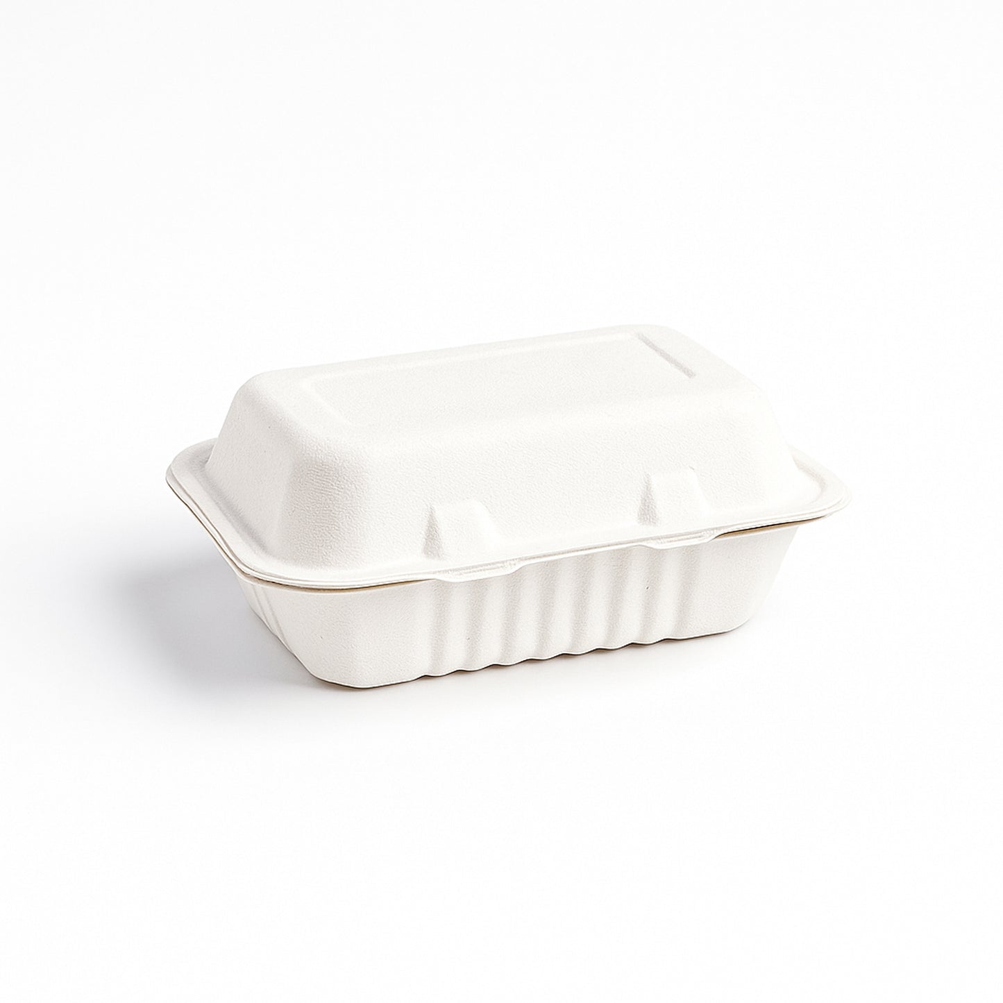 Fresheeclamshell Takeaway Compostable Bagasse Food Box 9x6x3 Inch  10 Pcs Pack