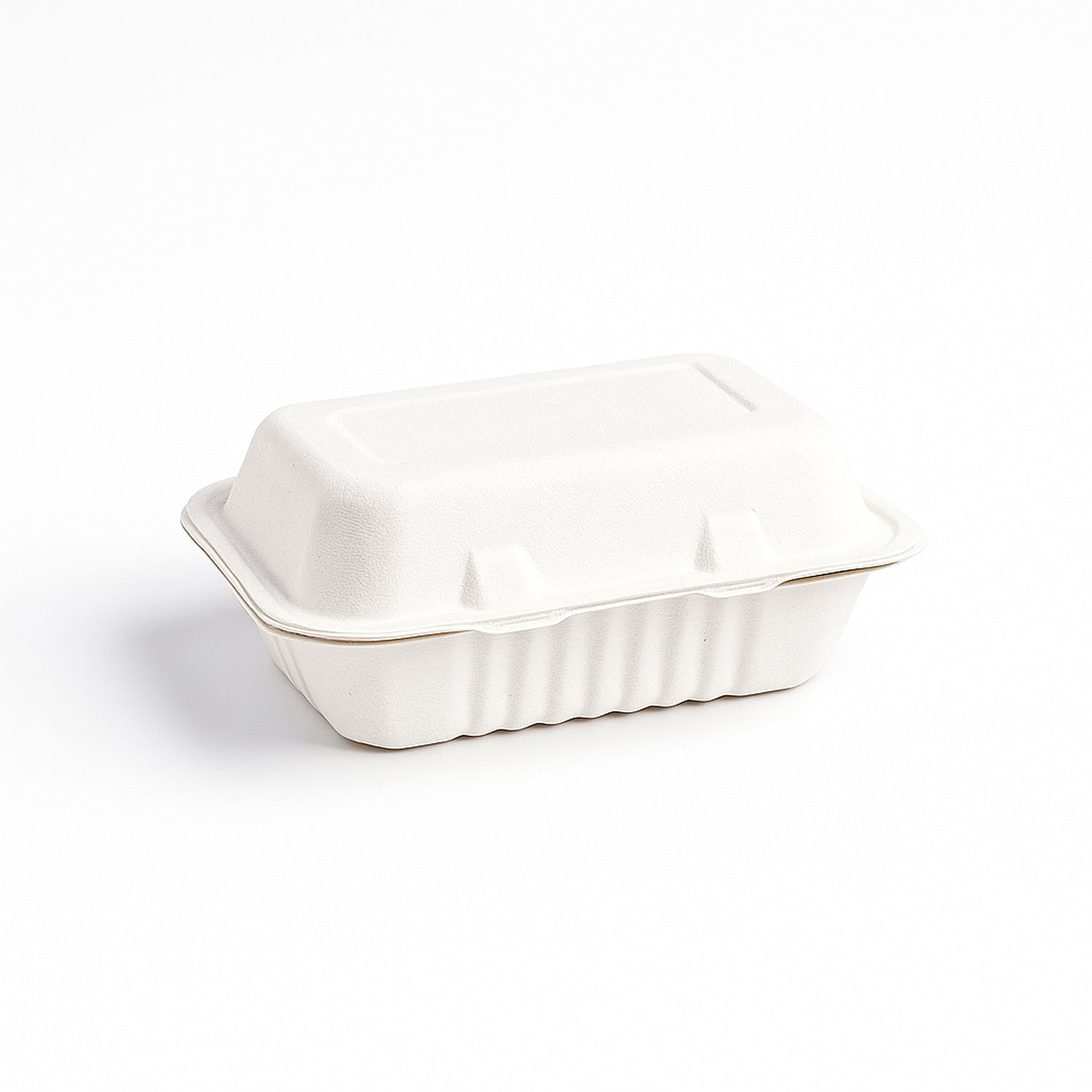 Fresheeclamshell Takeaway Compostable Bagasse Food Box 9x6x3 Inch  10 Pcs Pack