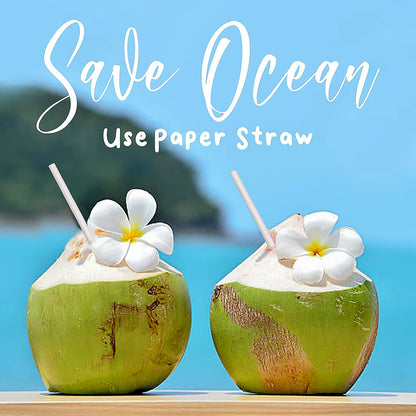 Paper Straw  Plain 6 Mm Diameter 200 Mm Length 50 Pcs Pack